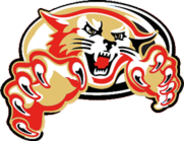 The Wildcat Era Begins