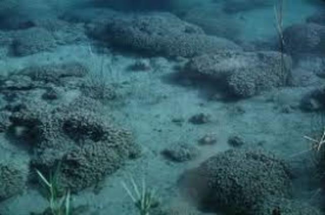 3.500 millones de años