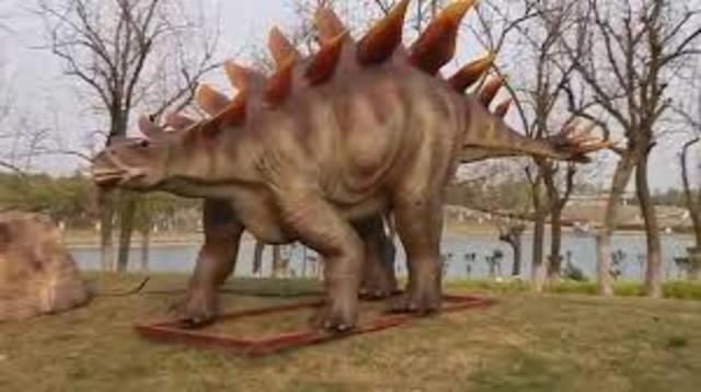 250 millones de años