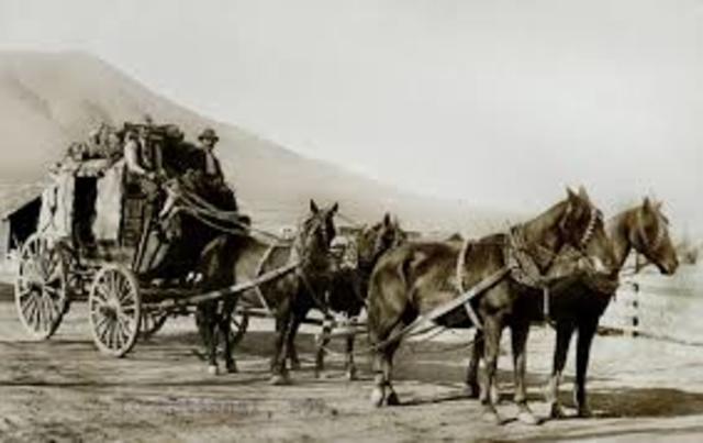 DOMESTICACIÓN DE CABALLOS