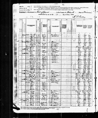 1880 US Census