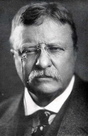 Theodore Roosevelt Dies