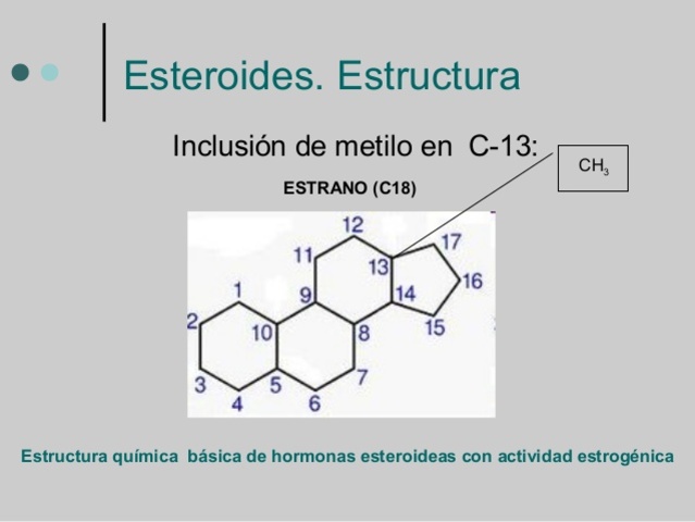 Heinrich Wieland y Adolf Windaus