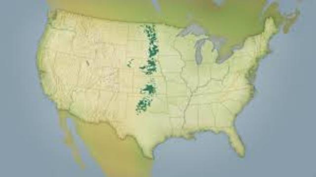 Shelterbelt Project Begins