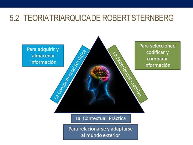 Teoría triárquica de Sternberg