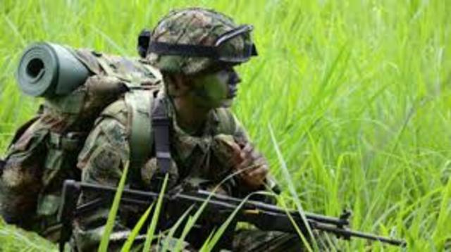 Plan de Defensa Interno Colombiano