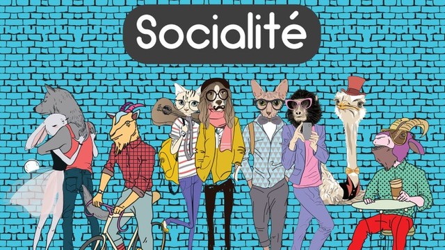 Socialité