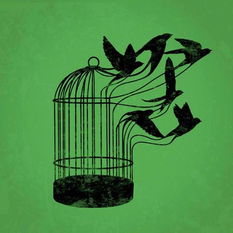 La libertad y el destino