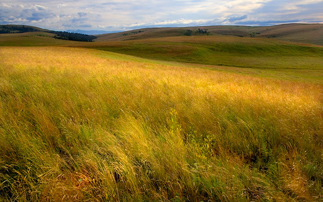 Great Plains & Great Lakes Physical Characteristics