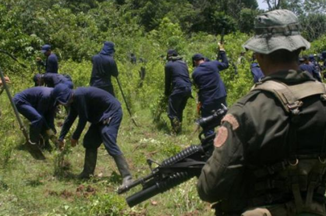 El narcotráfico, un negocio donde las FARC fueron protagonistas