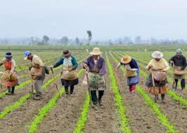 Crisis económica agraria