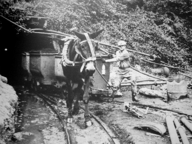 Regresan actividades mineras a la normalidad.