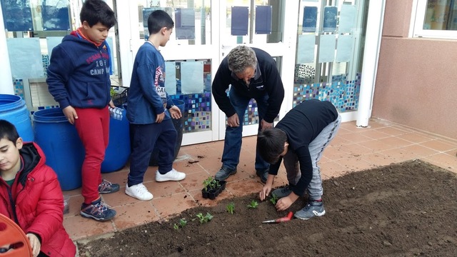 PLANTEM FAVES I ENCIAMS