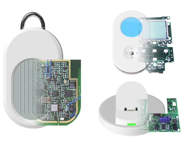 Founded Wheels of Zeus (WoZ)
