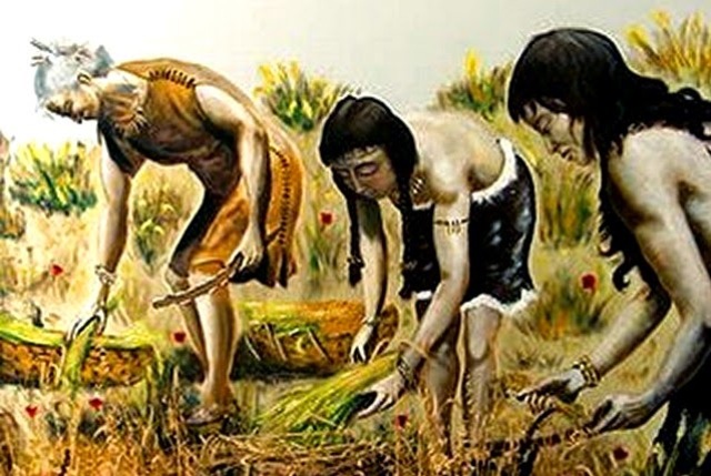 Origen de la agricultura en México