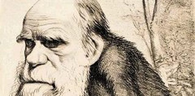 Darwin y el origen de las especies