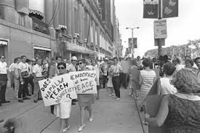 Protests at the democratic convention