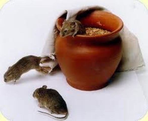 Teoria da abiogênese