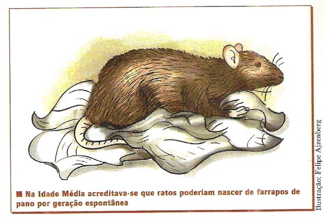 Teoria da Abiogênese