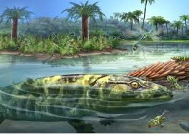 Origen de los vertebrados terrestres