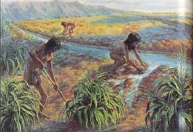 Domestication of crops and animals (Page 193)