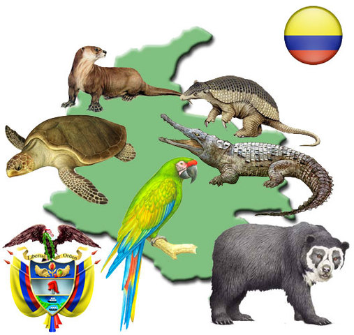 ANIMALES EN VÍA DE EXTINCIÓN COLOMBIA