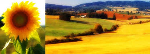 The Farm Credit Administration