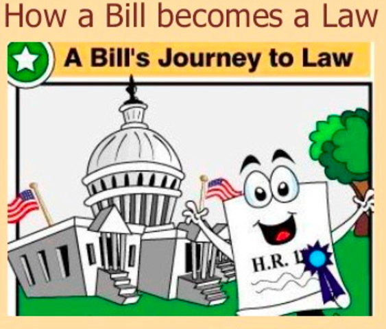 American Government - Institutions and Policies