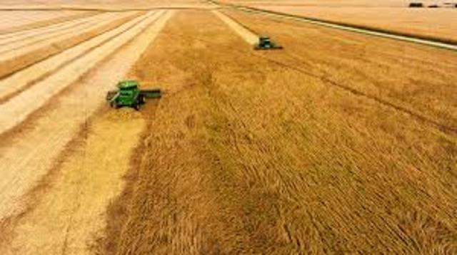 Stock Market Crash--Weak farm economy.