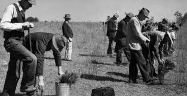 Programs to relieve the unemployed