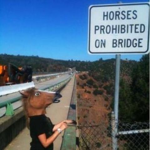 Prohibition--Defying the law.