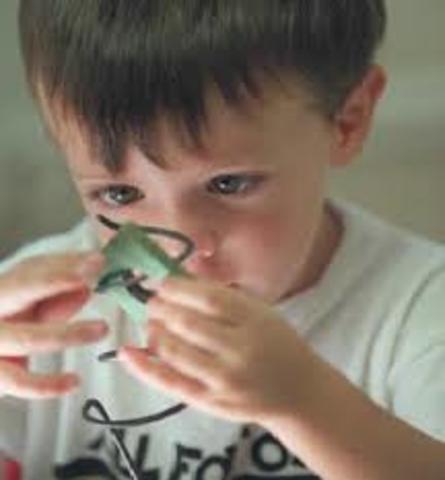 As observações de Leo Kanner