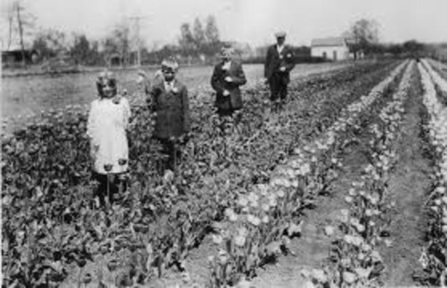 Farm Production Control Program