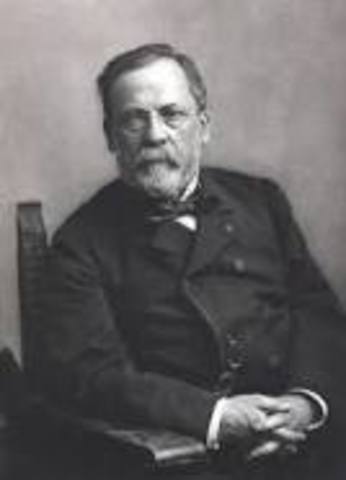 Experimento Pasteur