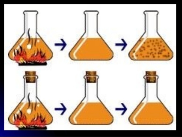 Experimento de Needham