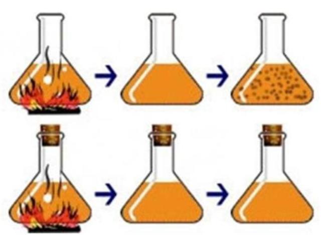 Experimento Spallanzani