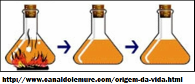 Experimento Spallanzani