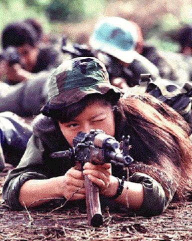 Apoyo a la Construcción del Proceso de Democratización y Establecimiento de la Paz en Guatemala