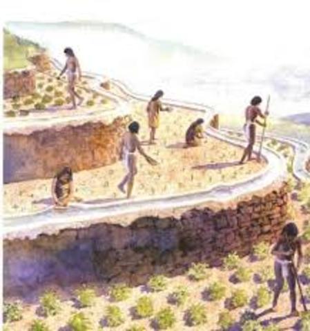 Prehistoria hasta año 300 a.c