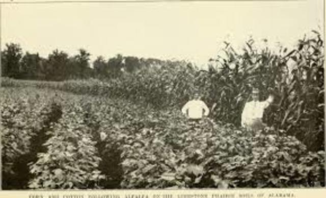 Prosperity for Farmers