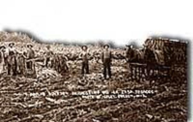 Farm Problems (1920's Economy)