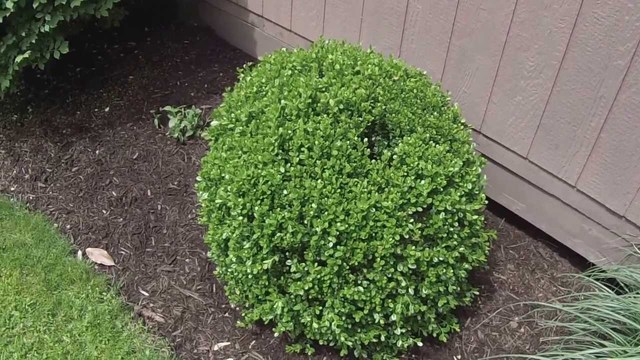 George W. Bush wins first term as president of the United States