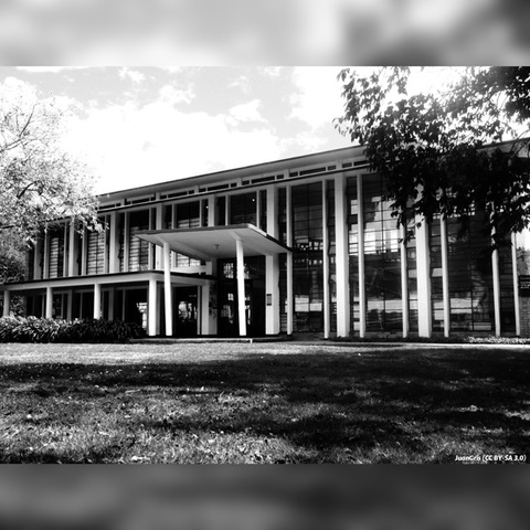 PRIMEROS LICENCIADOS EN PSICOLOGIA