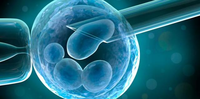 Descubrimiento de las Células Madres