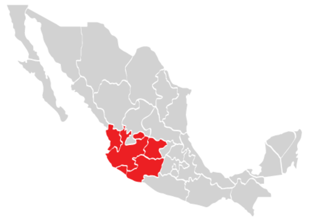 Auge de Ferrocarril en Occidente