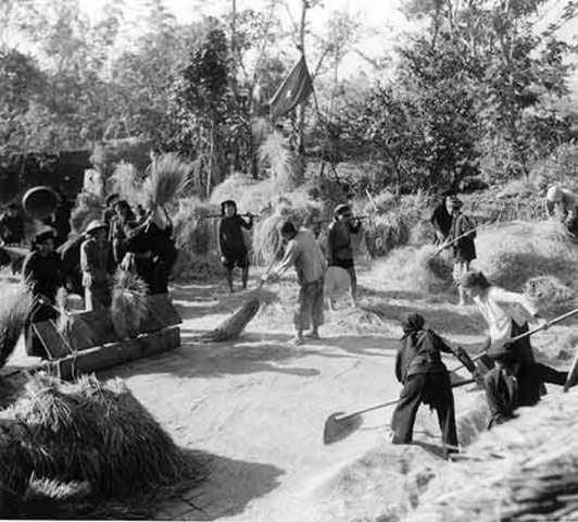 Ho Chi Minh Land Reforms