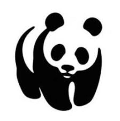 Fundación WWF - Fundación Amnistía Internacional