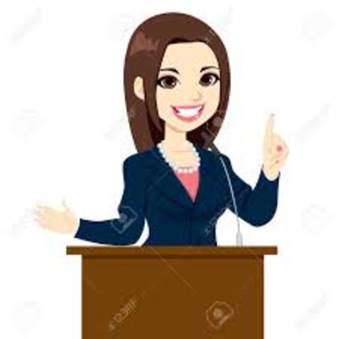 METAS A NIVEL PROFECIONAL A LARGO PLAZO