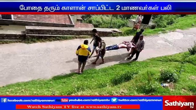 Teenager dies in magic mushroom indecent