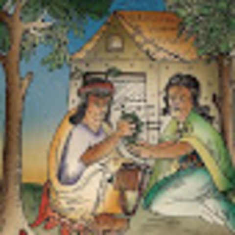 how use of cocaine was started?